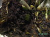 PICT3049.JPG