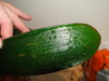 DSC09199.JPG