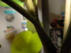 DSC09181.JPG