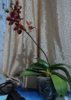 DSC08829.JPG