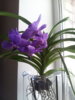 20141002_130106.jpg
