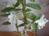 DSCN5500.JPG
