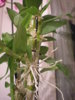 DSCN5697.JPG