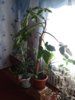 20141027_130846.jpg