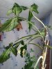 20141027_130934.jpg