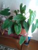 20141027_135432.jpg