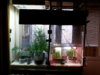 20141030_104529.jpg