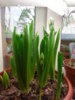 20141030_110741.jpg