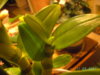 PICT3185.JPG