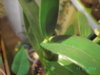 PICT3187.JPG