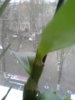 20141103_160513.jpg