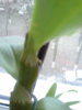 20141103_160453.jpg