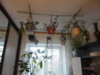 DSC05129.JPG