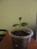 DSC05133.JPG