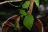 DSC05620.JPG