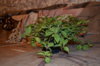DSC_2112.JPG