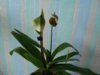 DSCN2534.JPG