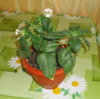 DSC03922.JPG