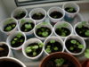 DSCN5413.JPG