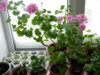 DSCN5390.JPG
