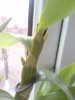 20141120_134401.jpg