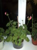 DSC03285.JPG