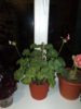 DSC03291.JPG