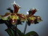 DSCN3309.JPG