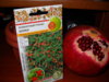 DSCN0837.JPG