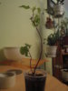 DSC05213.JPG