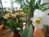DSCN3328.JPG
