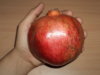 DSC03321.JPG