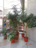 DSC01981.JPG