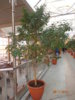DSC01984.JPG