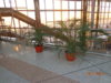 DSC01985.JPG