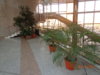 DSC01986.JPG