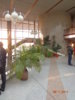 DSC01996.JPG