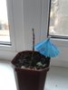 20141201_101639.jpg