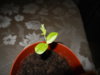 DSCN6332.JPG