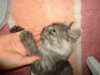 DSC01915.JPG