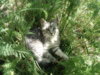 DSC03162.JPG