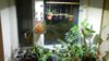 DSCN5907.JPG