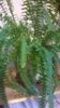 WP_20141215_001.jpg
