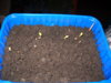 DSCN0848.JPG