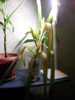 20141217_174312.jpg
