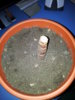 20141217_185414.jpg