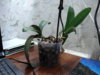 DSC09011.JPG