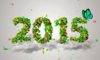 new-year-2015-flower-cards.jpg