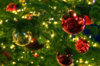 new_year_2012.jpg