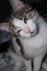 DSC_8384.JPG